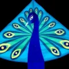 High as a Kite - Peacock Kite
