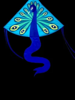 High as a Kite - Peacock Kite