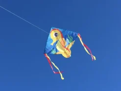 High as a Kite - Seahorse Kite