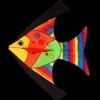 High as a Kite - Tropical Fish Kite