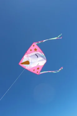 High as a Kite - Unicorn Kite