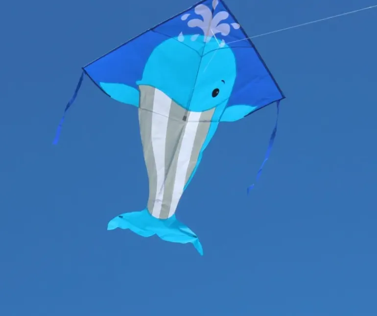 High as a Kite - Whale Kite