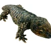 Huggable - Bobbie Bobtail