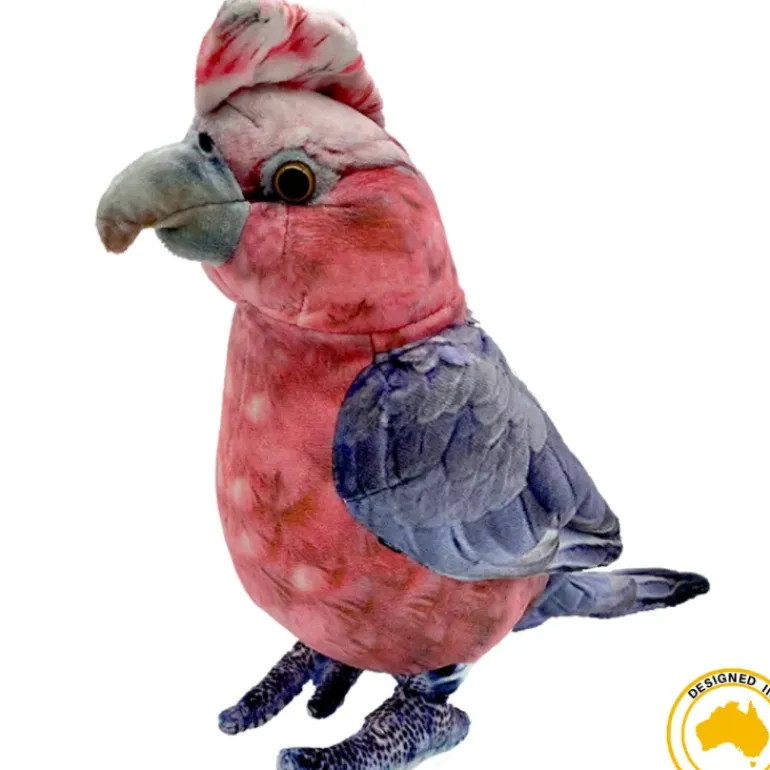 Huggable - Gabrielle Galah