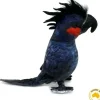 Huggable - Ross Palm Cockatoo