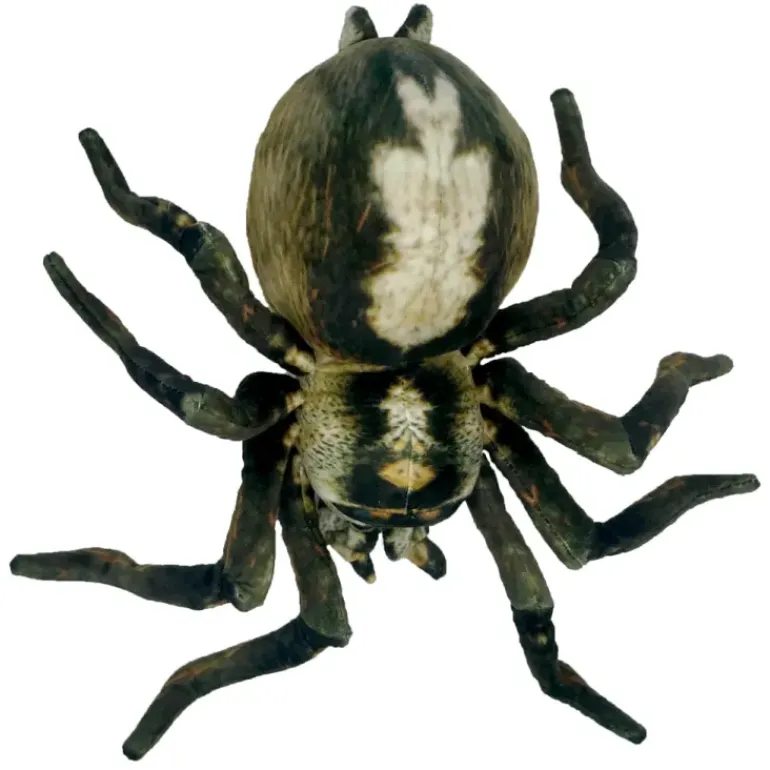 Huggable - Sebastian Spider