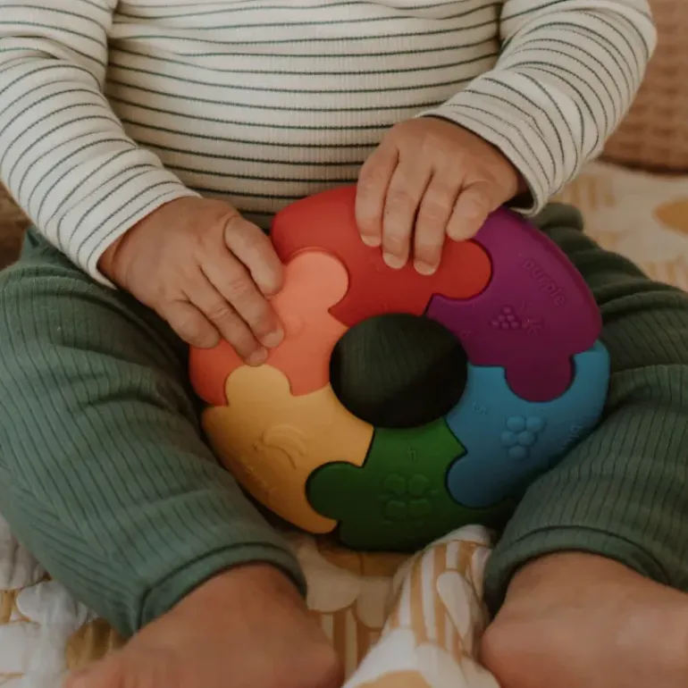 Jellystone - Colour Wheel - Rainbow Bright