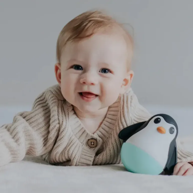 Jellystone - Penguin Wobble - Black