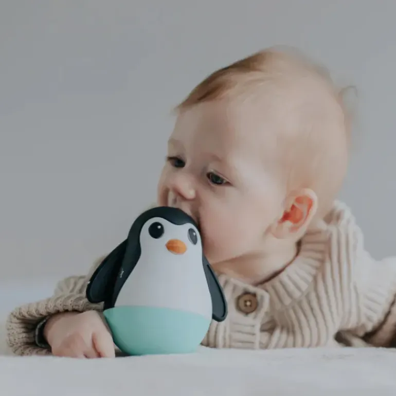 Jellystone - Penguin Wobble - Mint