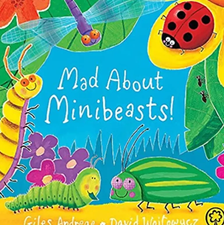 Mad About Mini Beasts (Board Book)