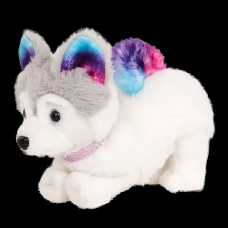 Our Generation – Siberian Husky