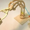 Pathfinder - Hydraulic Mini Excavator