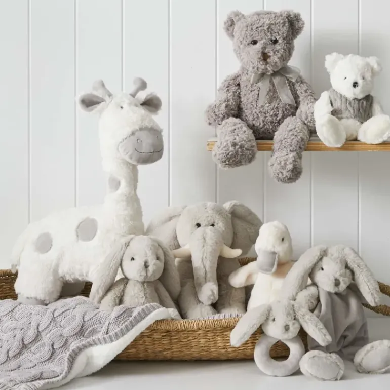 Pilbeam - Plush Teddy