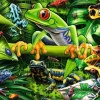 Ravensburger - 35Pc Amazing Amphibians Puzzle