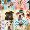 Ravensburger - 100Pc Doggy Disguise Puzzle