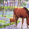 Ravensburger - 300Pc Serene Sunset Puzzle