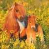 Ravensburger - 100Pc Shetland Ponies Puzzle