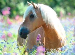 Ravensburger - 300Pc Wildflower Pony Puzzle