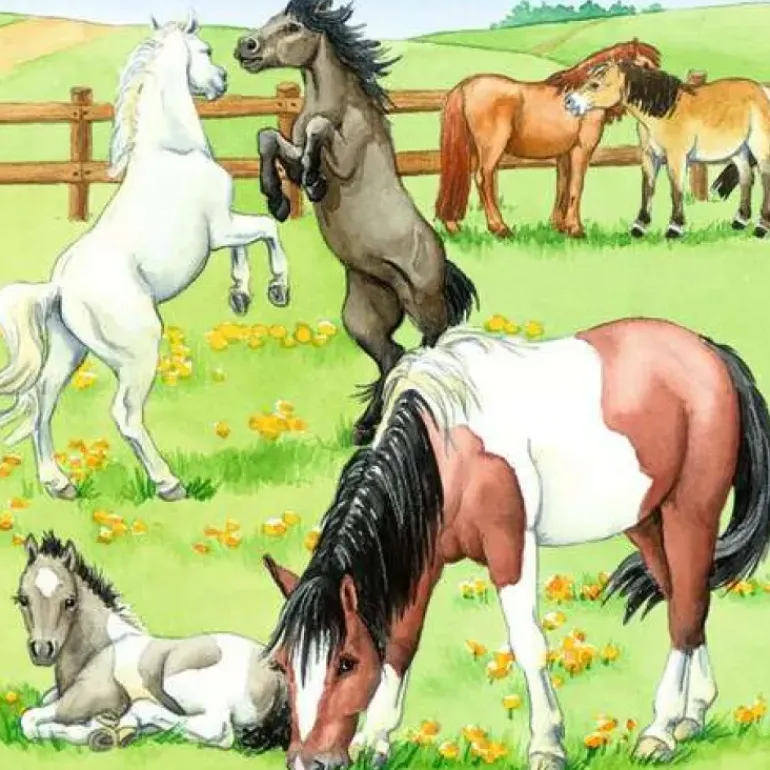 Ravensburger - 3 x 49Pc A Day At The Stables Puzzle