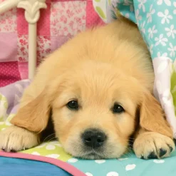 Ravensburger - 3 x 49Pc Cute Puppy Dogs Puzzle