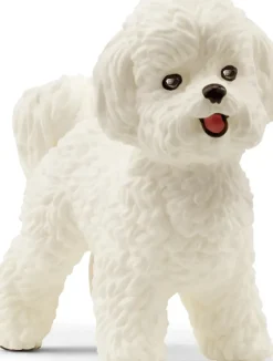Schleich - Bichon Frise