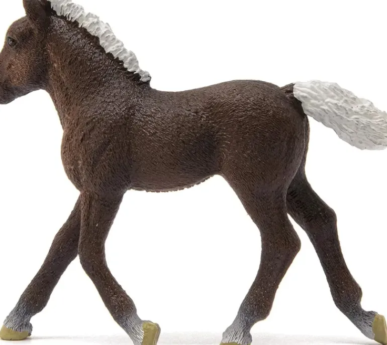 Schleich - Black Forest Foal