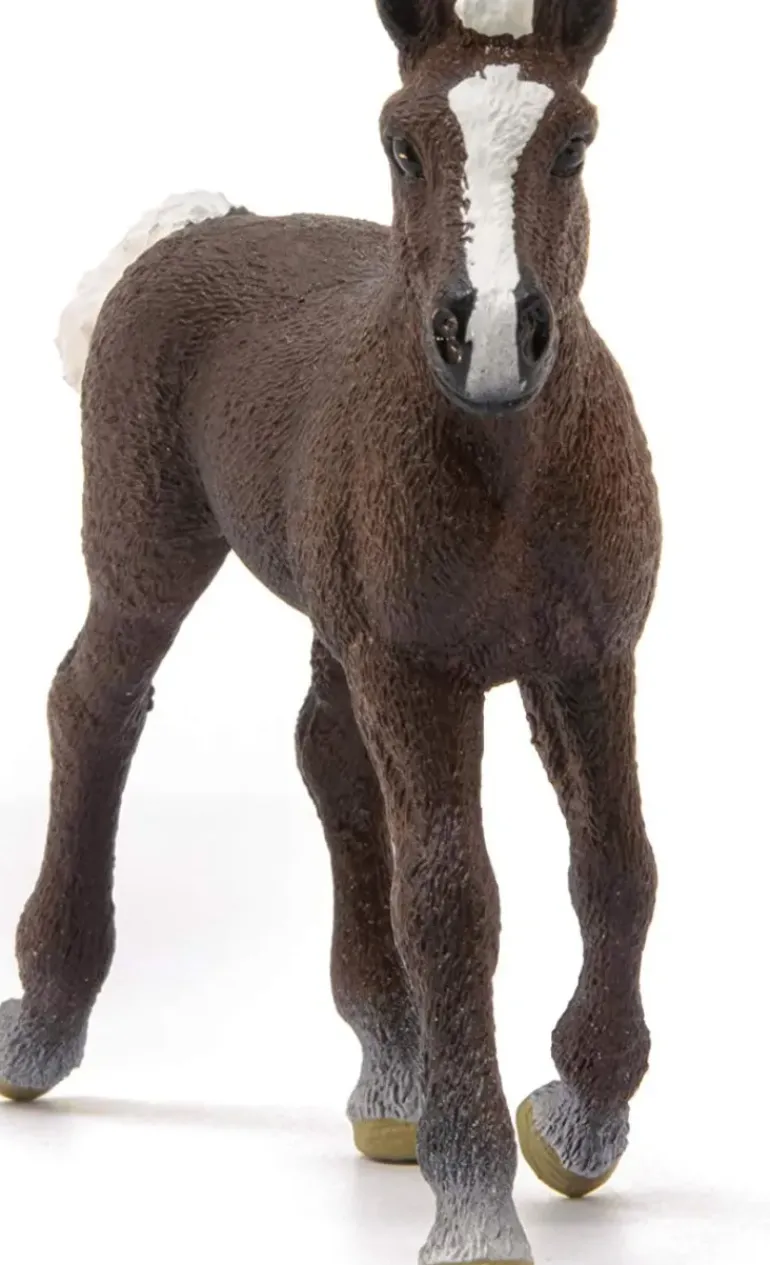 Schleich - Black Forest Foal