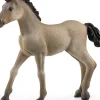 Schleich - Criollo Definitivo Foal