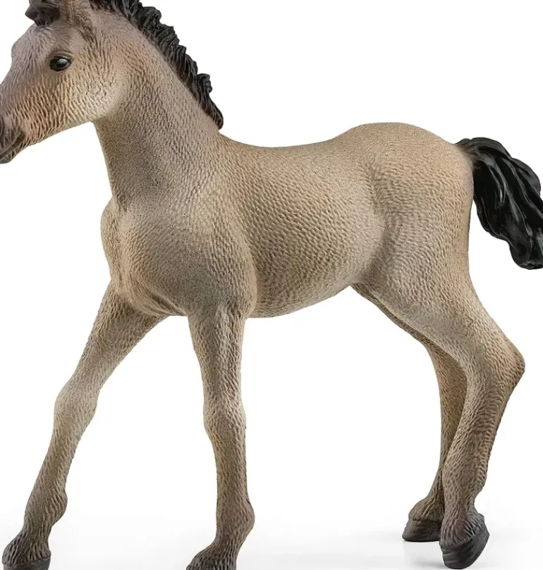 Schleich - Criollo Definitivo Foal