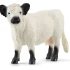 Schleich - Galloway Cow
