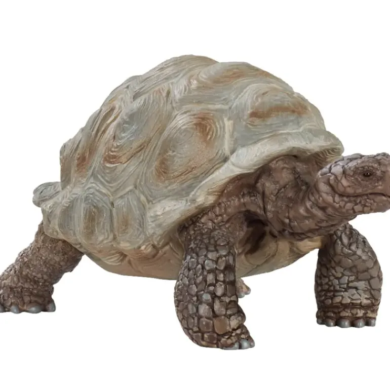 Schleich - Giant Tortoise