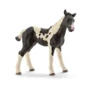 Schleich - Pinto Foal