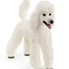 Schleich - Poodle