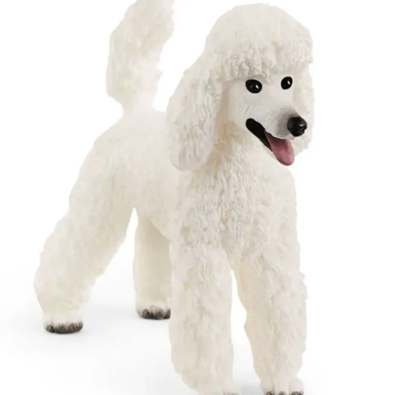 Schleich - Poodle