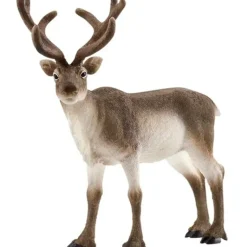 Schleich - Reindeer
