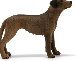 Schleich - Rhodesian Ridgeback