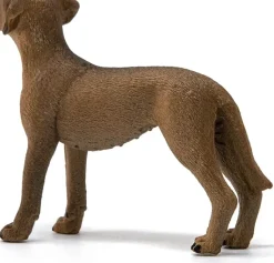 Schleich - Rhodesian Ridgeback