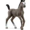 Schleich - Selle Francais Foal