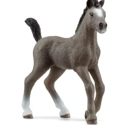 Schleich - Selle Francais Foal