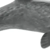 Schleich - Sperm Whale