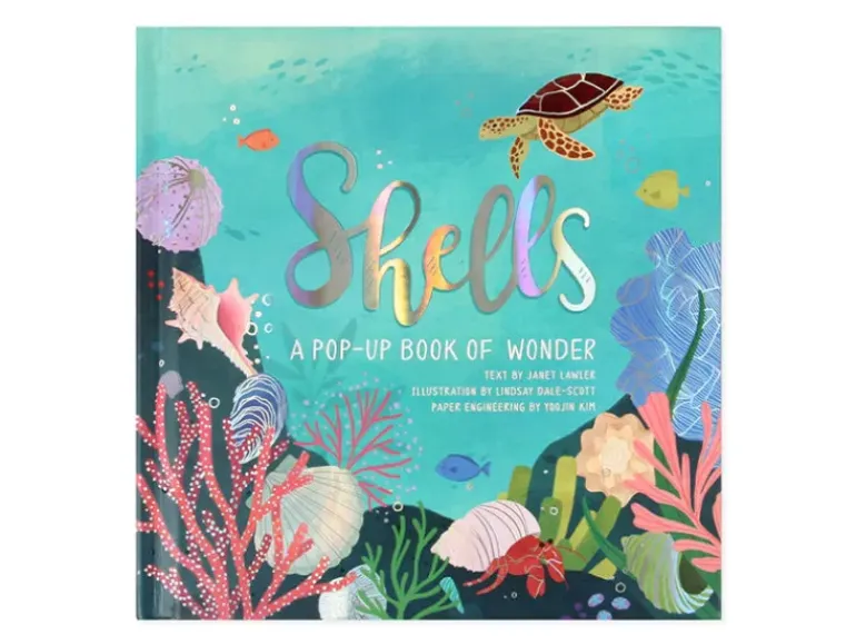 Shells Pop Up Book of Wonder (Hard Back)