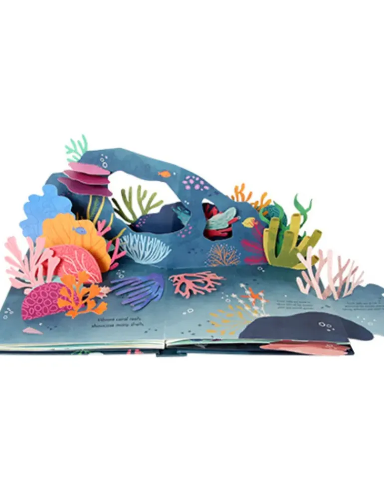 Shells Pop Up Book of Wonder (Hard Back)