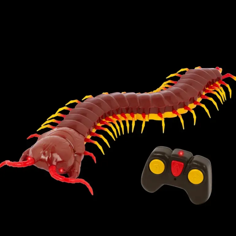 Terra - Remote Controlled Centipede - Giant Scolopendra