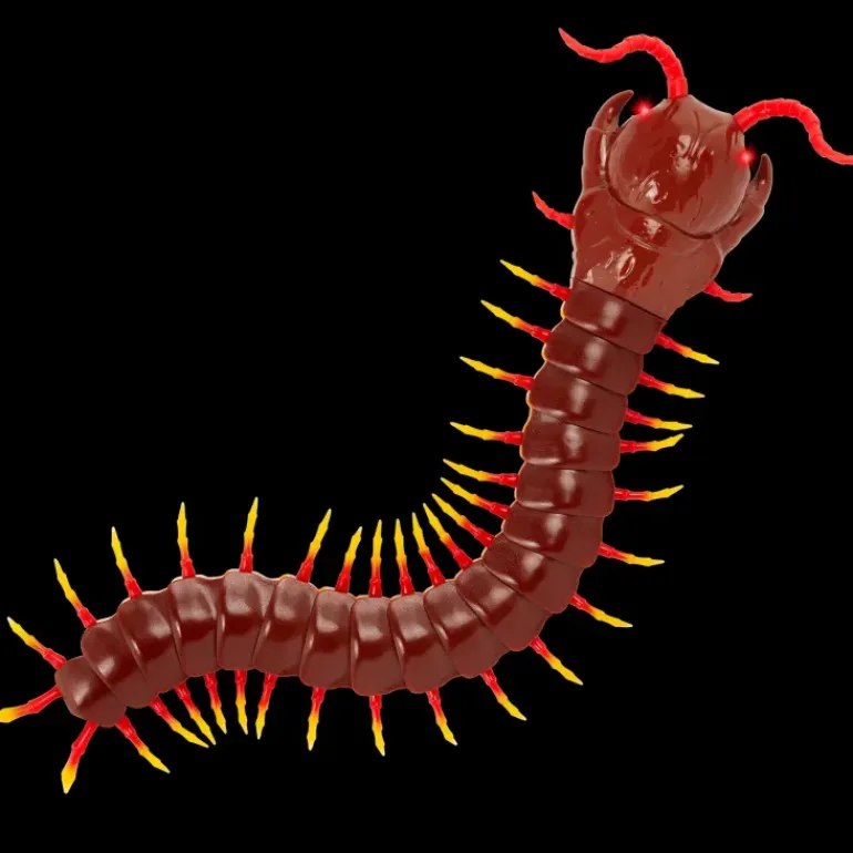 Terra - Remote Controlled Centipede - Giant Scolopendra