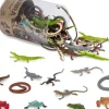 Terra - Tub - Reptiles