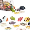 Terra - Tub - Tropical Fish World