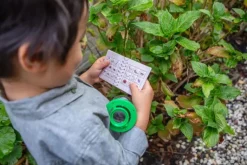 Tiger Tribe - Bug Spotter Kit