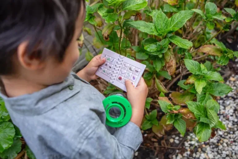 Tiger Tribe - Bug Spotter Kit