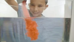 Zimpli Kids - Crackle Baff Colours
